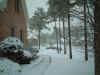 JanSnow05.jpg (69427 bytes)