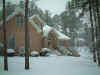 JanSnow07.jpg (68933 bytes)
